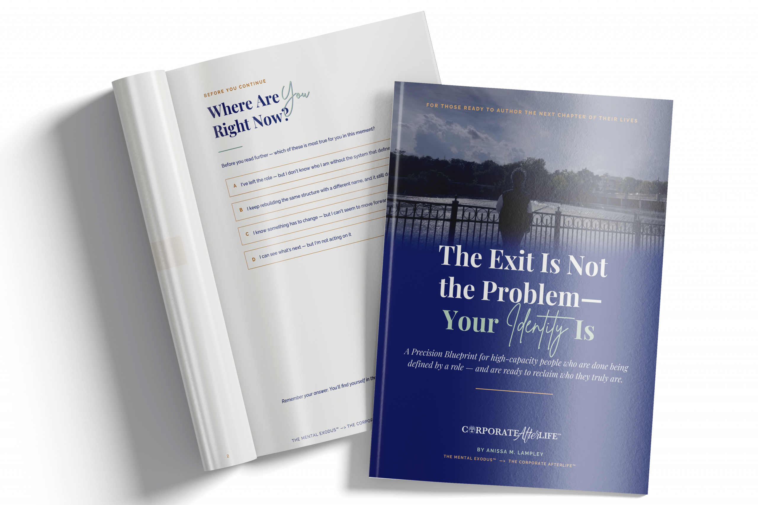 The Exit is Not the Problem copy